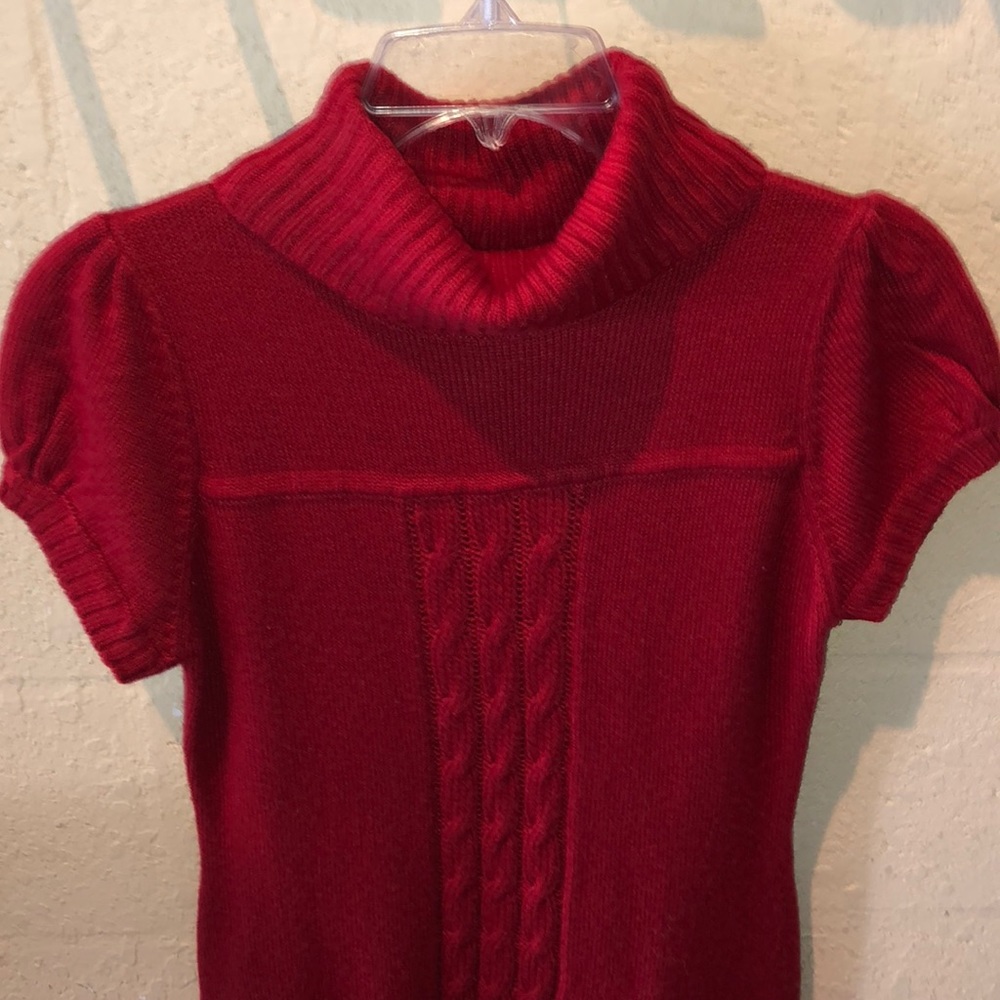 EUC! Short Sleeve Sweater Dress - Picture 3 of 6